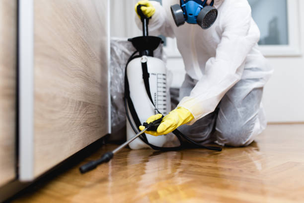 Best Exterminator Services  in Tyndall, SD
