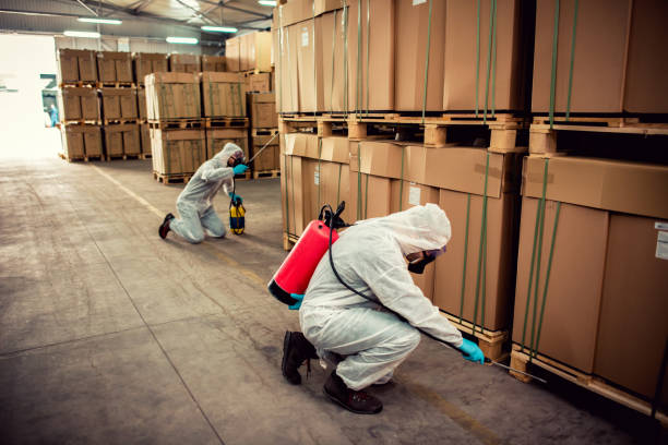 Best Wasp Removal Services  in Tyndall, SD