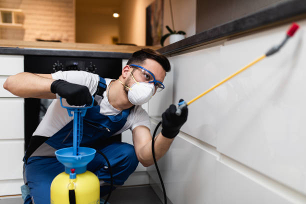 Best Cockroach Control Services  in Tyndall, SD