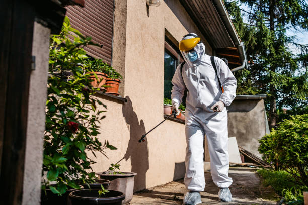 Best Pest Prevention Services  in Tyndall, SD