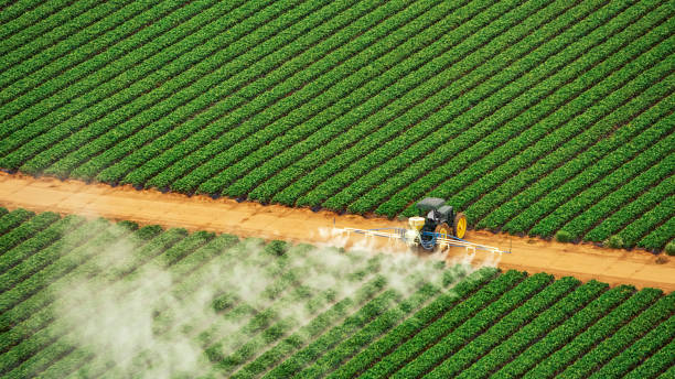 Best Pest Control Treatment  in Tyndall, SD