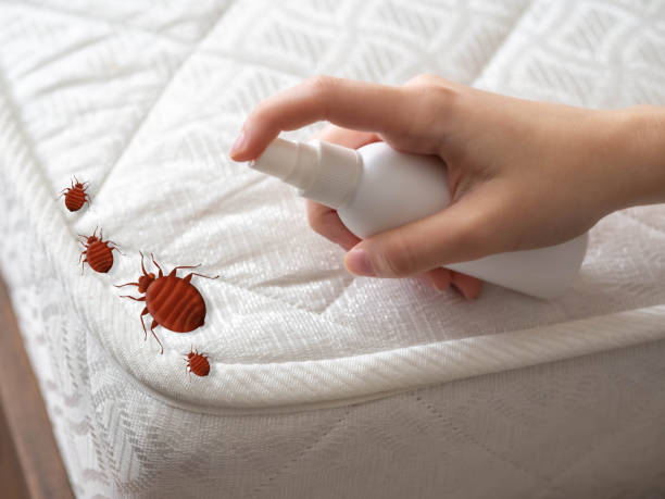 Professional Pest Control in Tyndall, SD