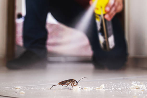 Best Affordable Exterminators  in Tyndall, SD